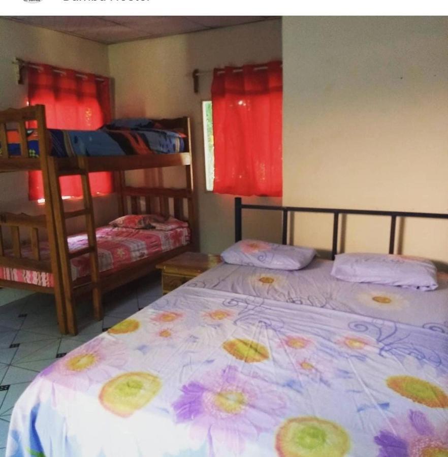Bambu Hostel David Kültér fotó