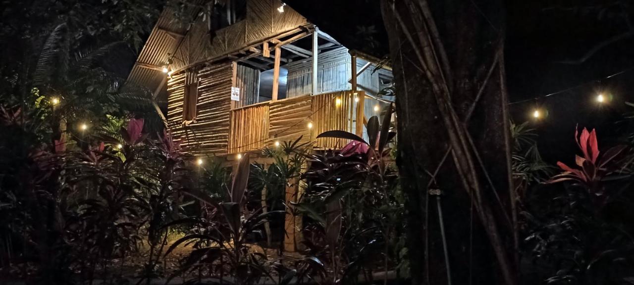 Bambu Hostel David Kültér fotó