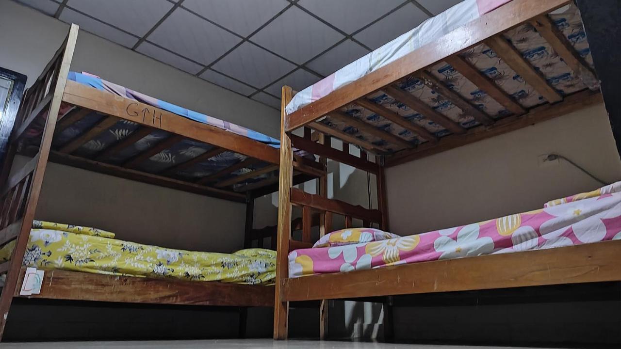 Bambu Hostel David Kültér fotó