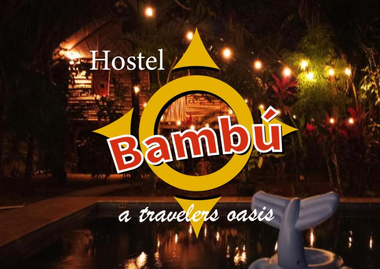 Bambu Hostel David Kültér fotó